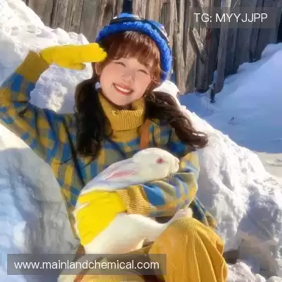 裴竹津